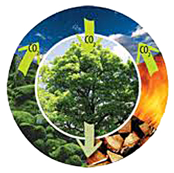 Carbon Neutral
