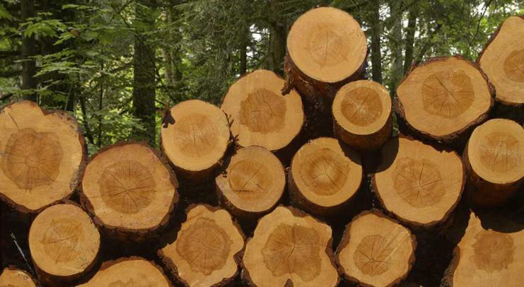 Hardwood