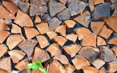 Use Local Firewood