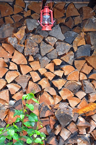 Use Local Firewood