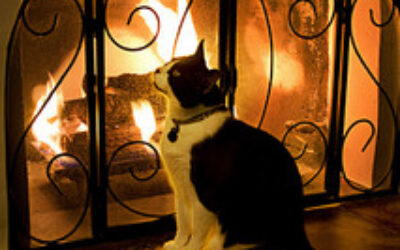 Benefits of a Fireplace