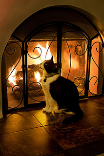 Benefits of a Fireplace
