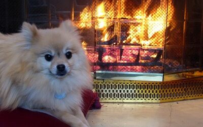 Installing Glass Doors on Your Fireplace