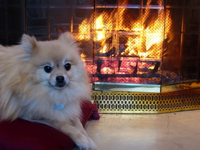 Installing Glass Doors on Your Fireplace