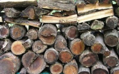 Responsible Wood Burning