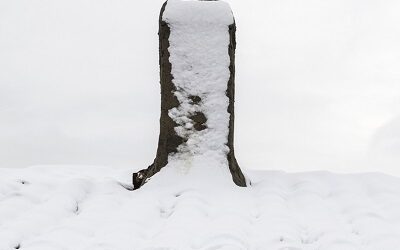 Winter Chimney Care - Atlanta Chimney Sweeps