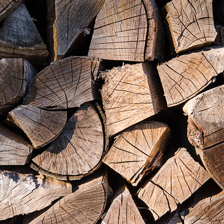 Seasoned Wood for Wood Burning Fireplace