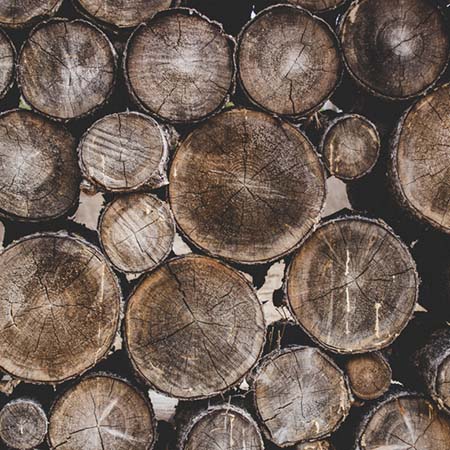firewood