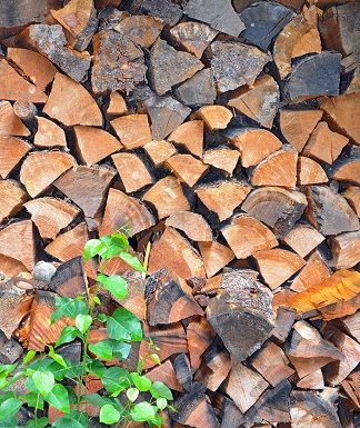 Firewood Pile, Atlanta FL
