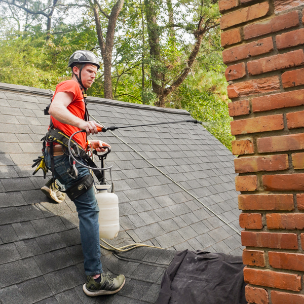 preventing leaks with chimney waterproofing, buckhead ga