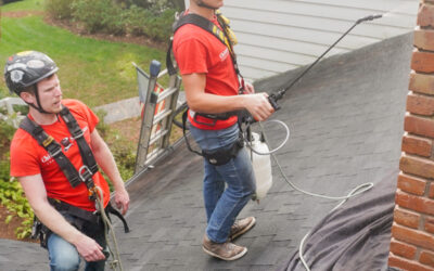 Chimney Waterproofing in Lawrenceville GA