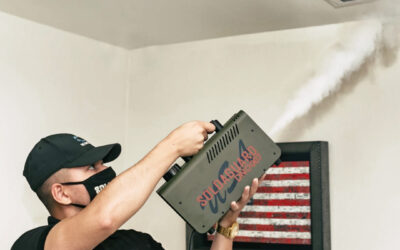 antibacterial fogging services for cleaner air in Stone Mountain GA