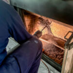 Uses for wood ash in Atlanta, Georgia