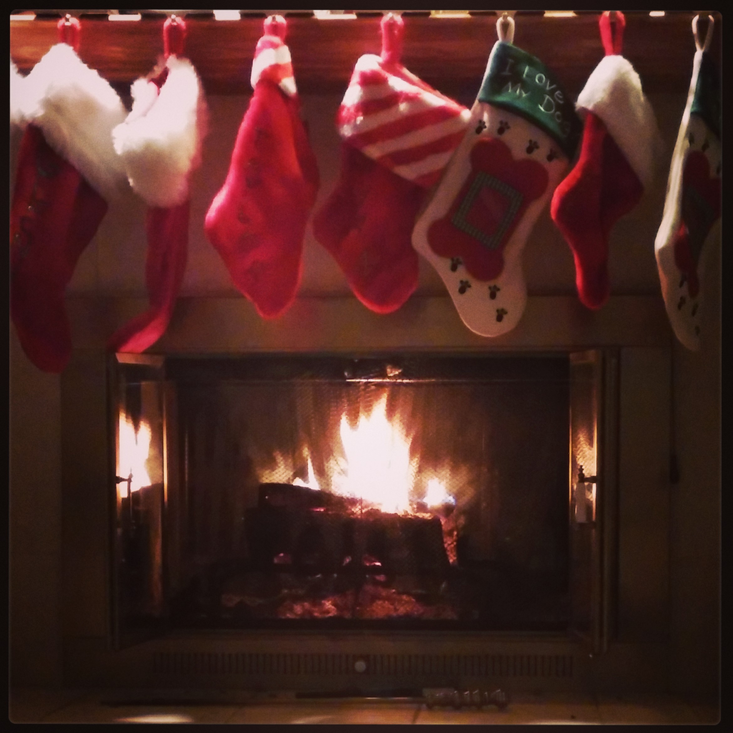 Chimney Cleaning in Chattanooga, TN