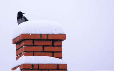 Chimney Repair in Chattanooga, TN