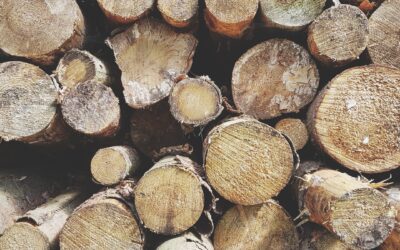 Professional Chimney and Fireplace Services in Atlanta, GA