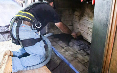 Smelly Chimney Solutions in Fayetteville, GA