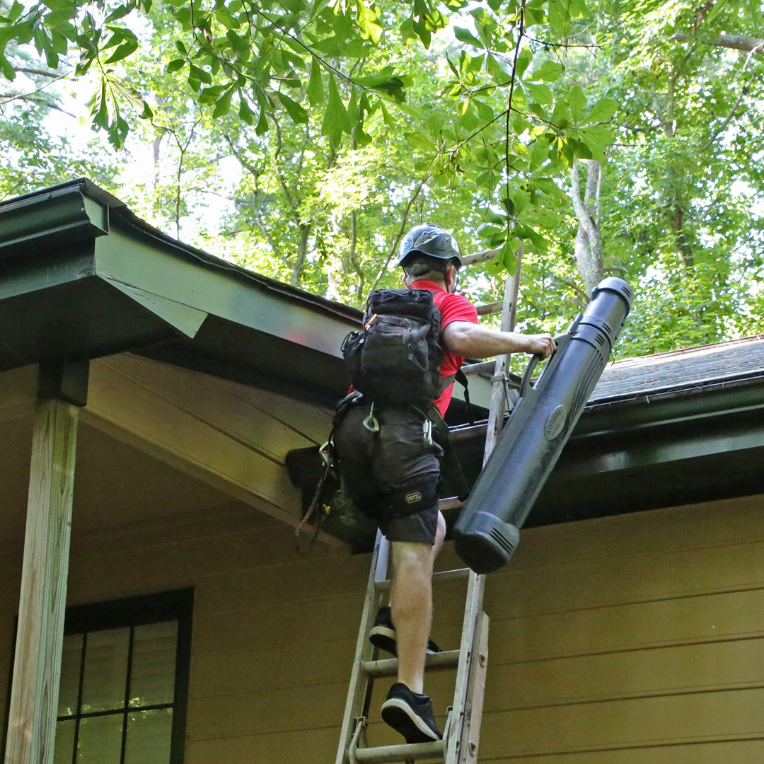 Chimney Maintenance in Atlanta, Georgia