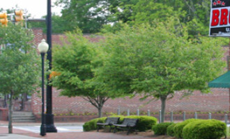 Kennesaw, GA certified chimney techs cleaning chimneys in kennesaw ga