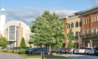 Suwanee, GA chimney sweeps service Suwanee GA area with chimney repairs