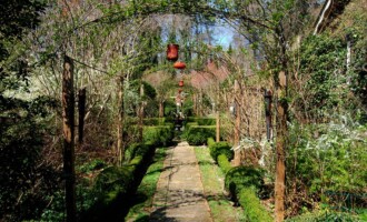 Morningside-Lenox Park, GA Professional chimney and fireplace service in Morningside-Lenox Park, GA